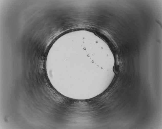 X0000102251260200808221345
