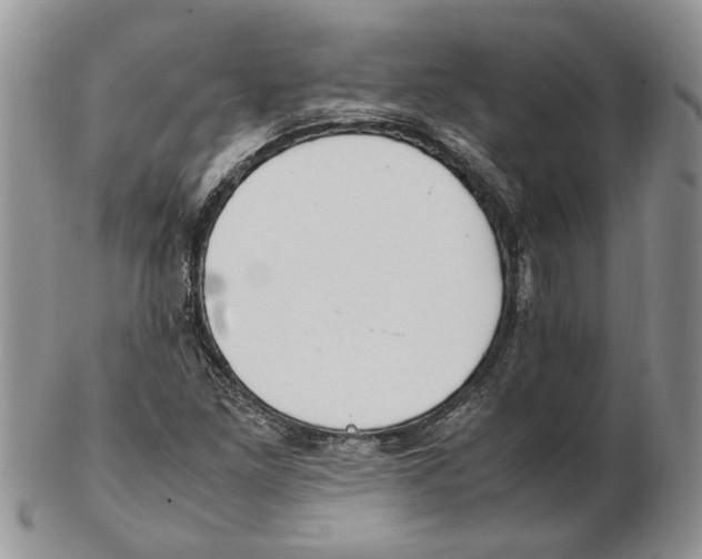X0000102251261200808221345