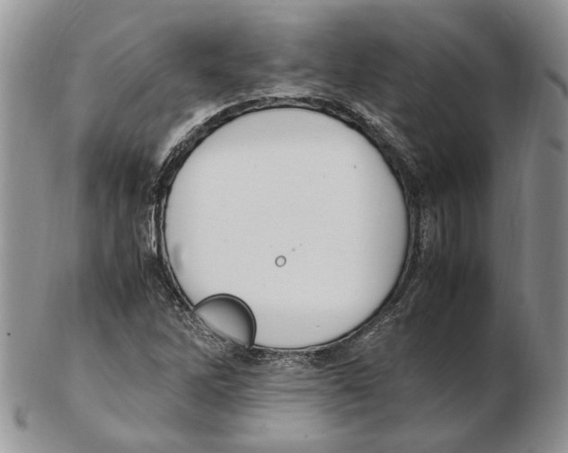 X0000102251262200808221345