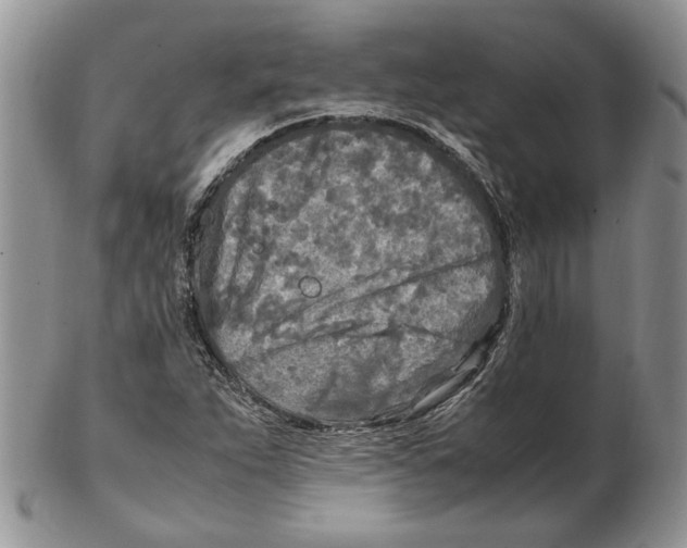 X0000102251263200808221345