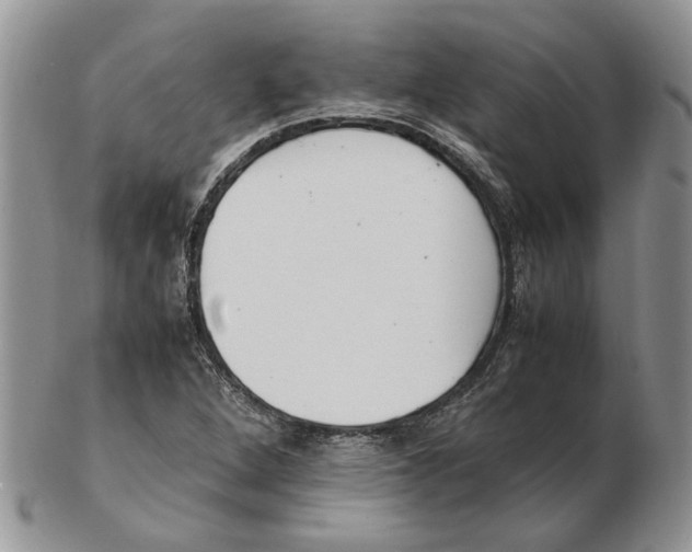 X0000102251264200808221345