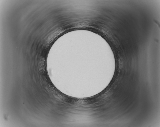 X0000102251265200808221345
