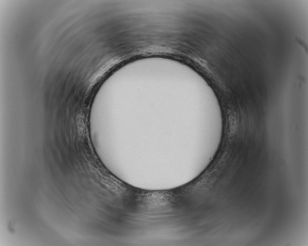 X0000102251266200808221345