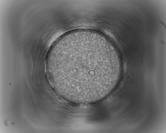 X0000102251267200808221344