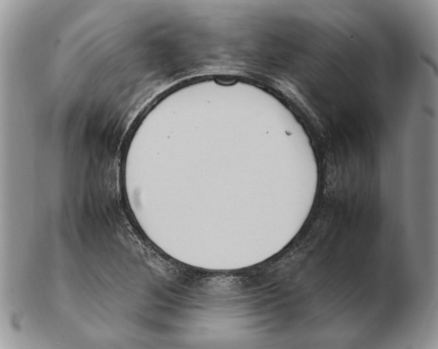 X0000102251268200808221344