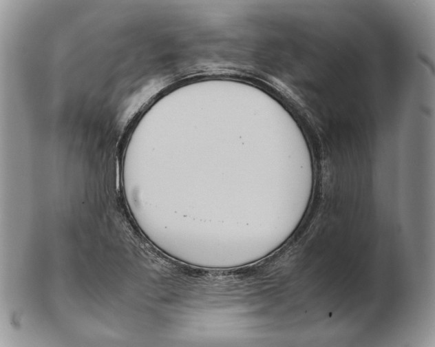X0000102251269200808221344