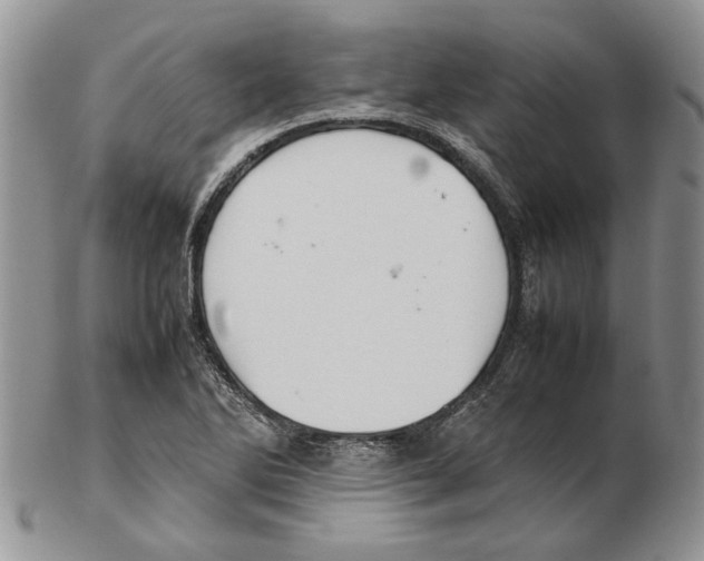 X0000102251270200808221344