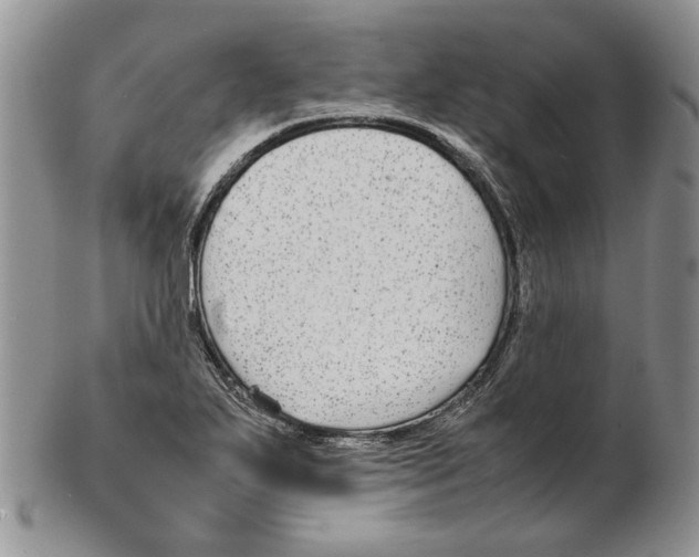 X0000102251271200808221344