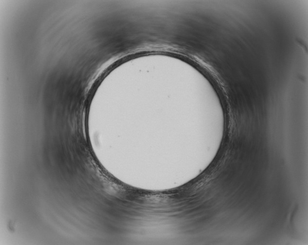 X0000102251272200808221344
