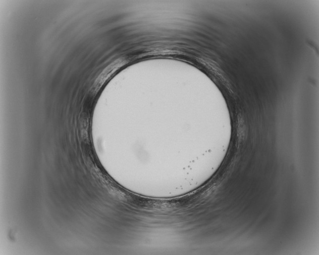 X0000102251273200808221344