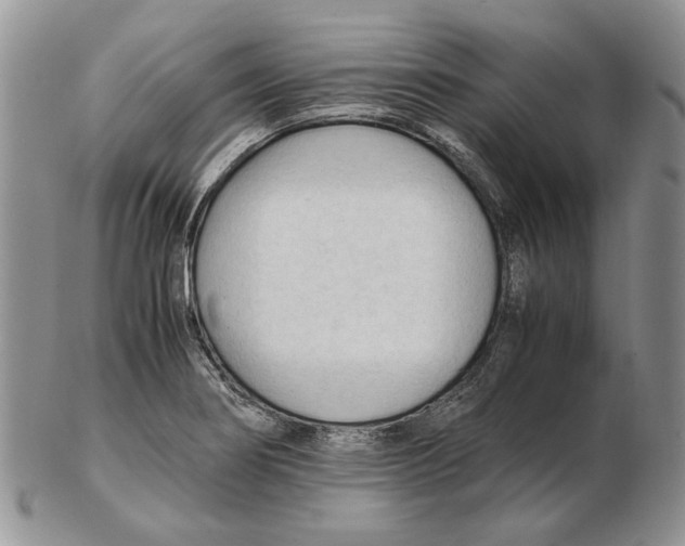 X0000102251274200808221344