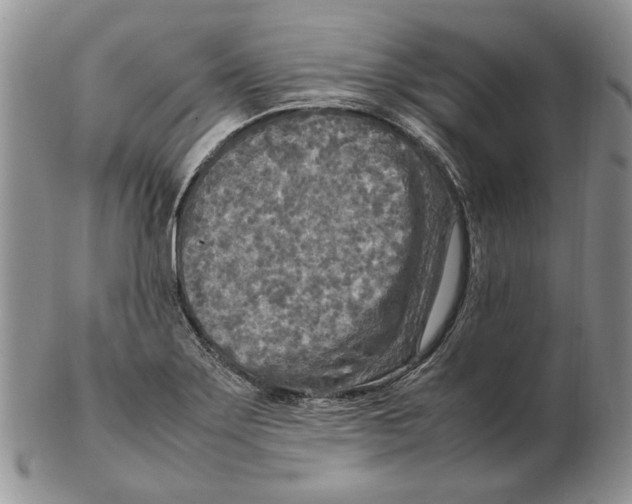 X0000102251275200808221344