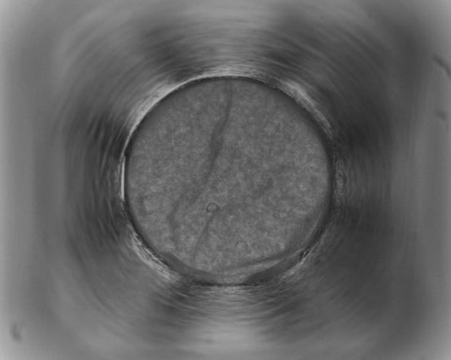 X0000102251276200808221344