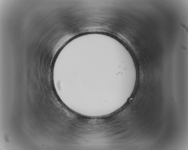 X0000102251277200808221344