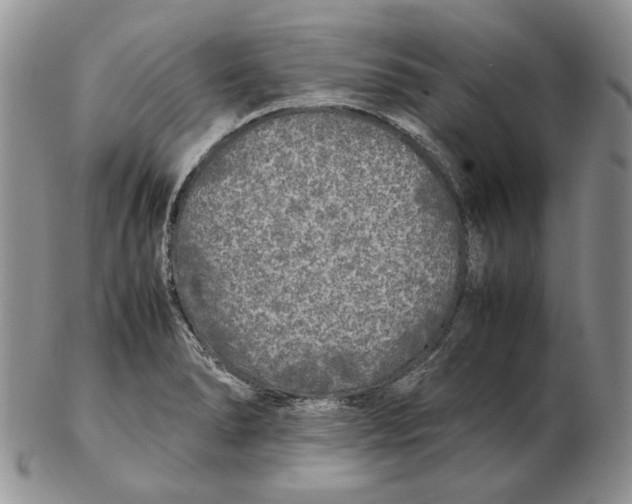 X0000102251278200808221344