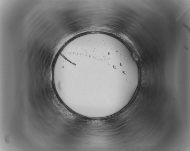 X0000102251280200808221344