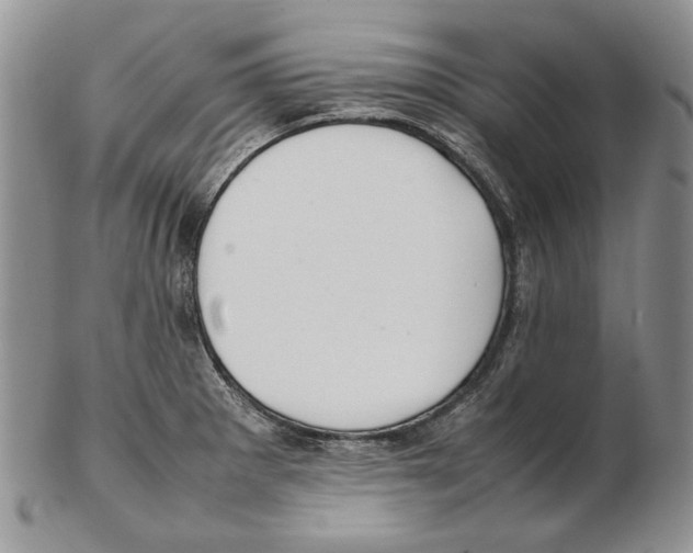 X0000102251281200808221344