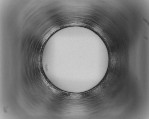 X0000102251282200808221344