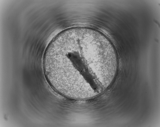 X0000102251283200808221344