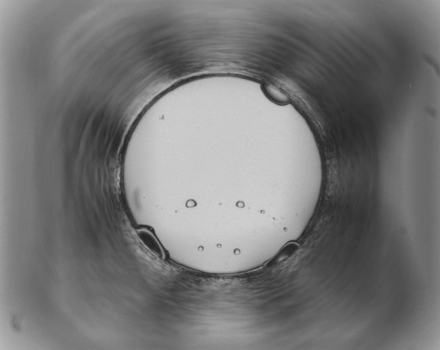 X0000102251284200808221344