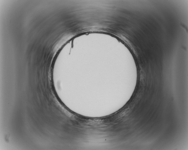 X0000102251285200808221344