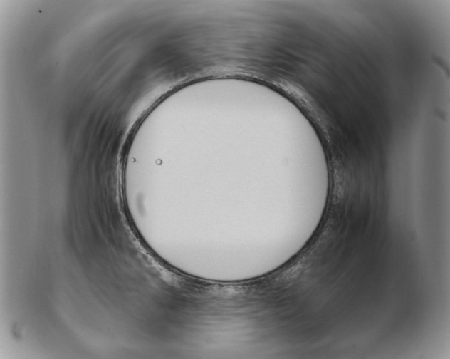 X0000102251286200808221344