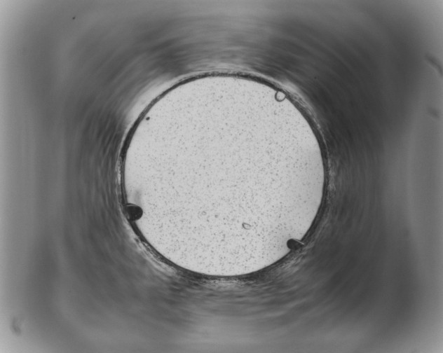 X0000102251287200808221344