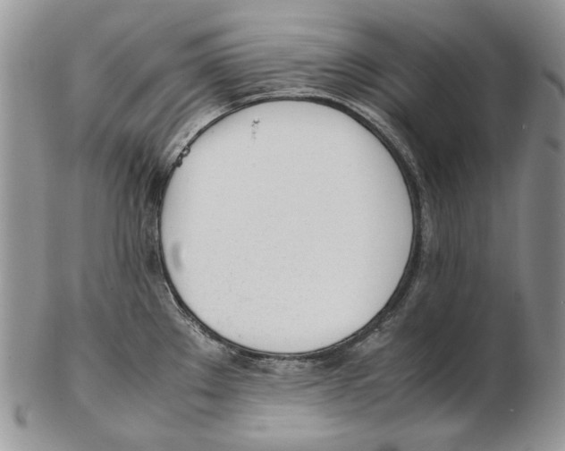 X0000102251289200808221344