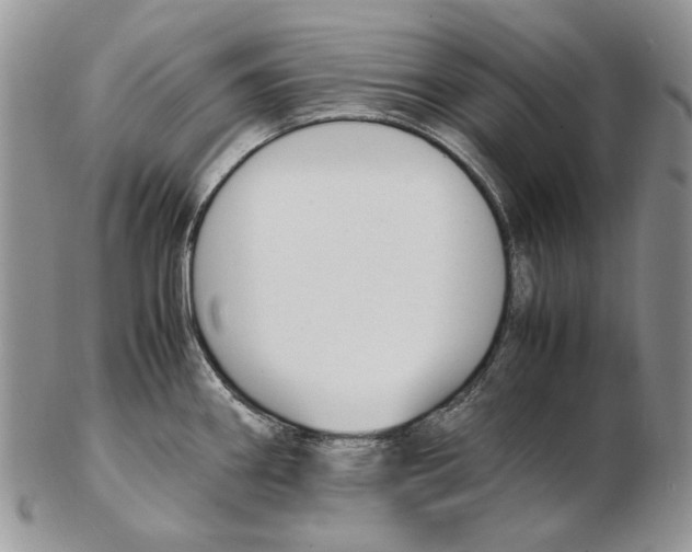 X0000102251290200808221344