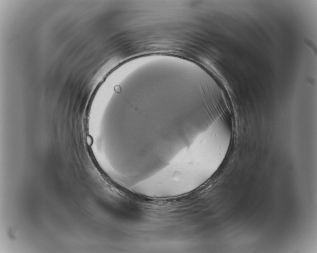 X0000102251291200808221344