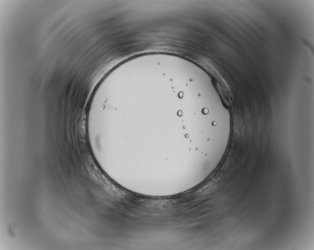X0000102251292200808221344