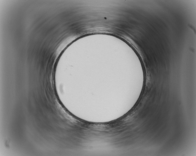 X0000102251293200808221344
