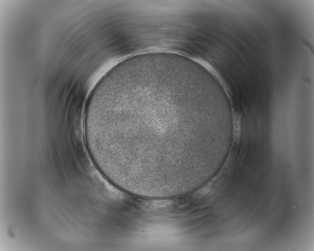X0000102251294200808221344