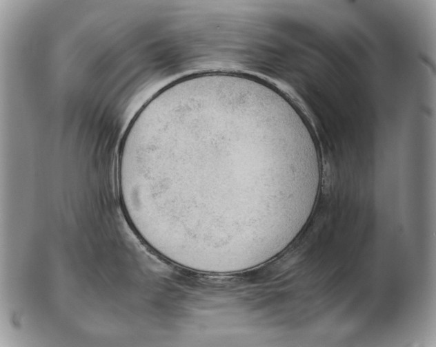 X0000102251295200808221344
