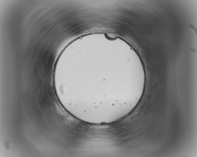 X0000102251296200808221344