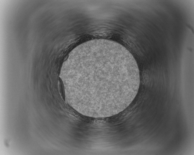 X0000102251297200808221343