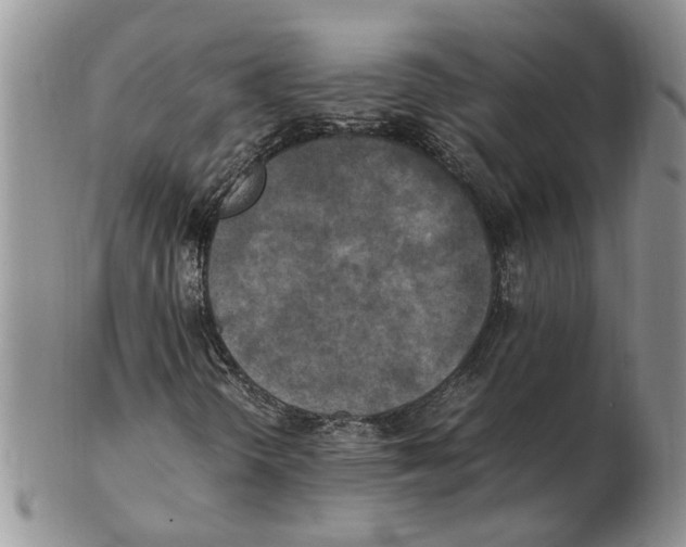 X0000102251298200808221343