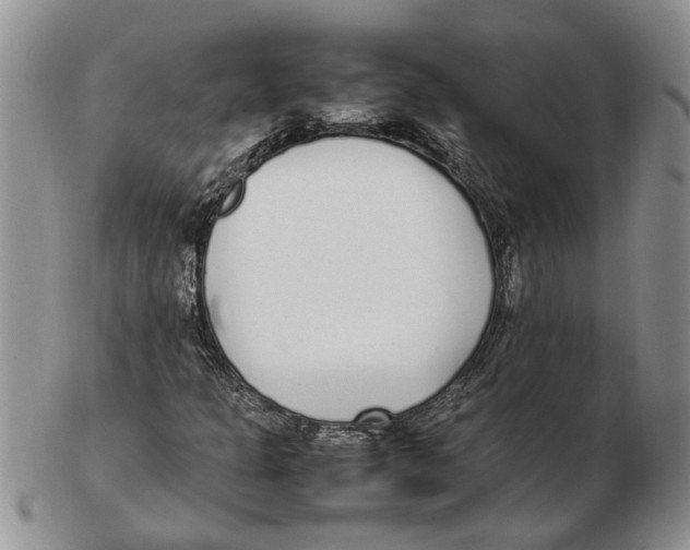 X0000102251301200808221343