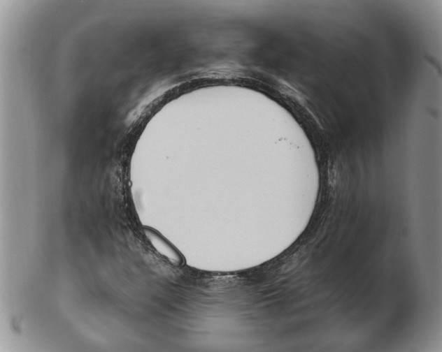 X0000102251304200808221344