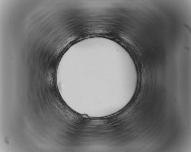 X0000102251305200808221344