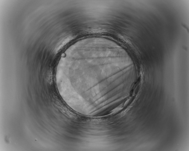 X0000102251306200808221344