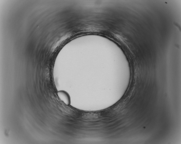 X0000102251307200808221344