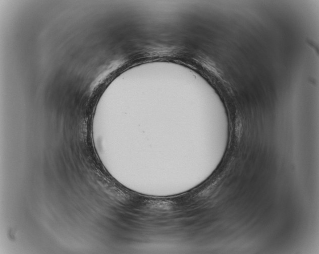 X0000102251309200808221344