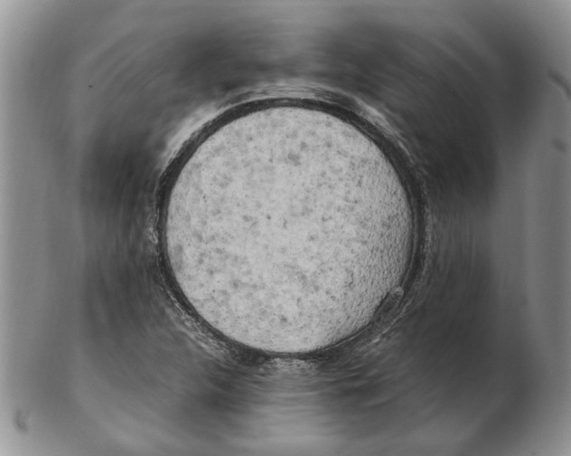 X0000102251312200808221344