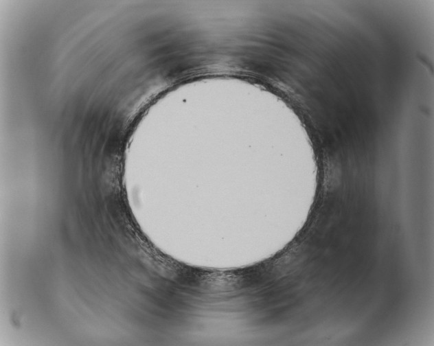 X0000102251314200808221344