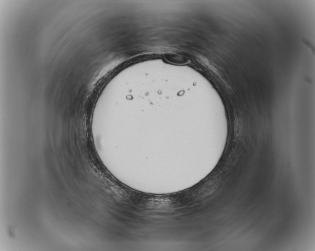 X0000102251315200808221344