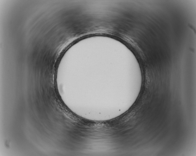 X0000102251316200808221344