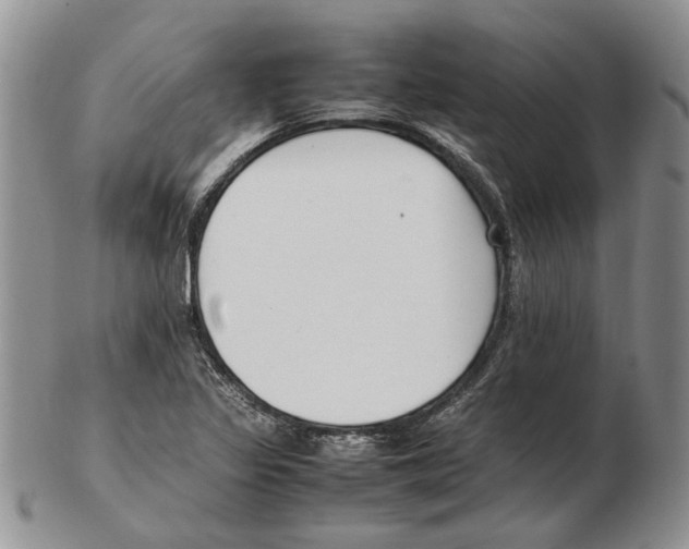X0000102251317200808221344
