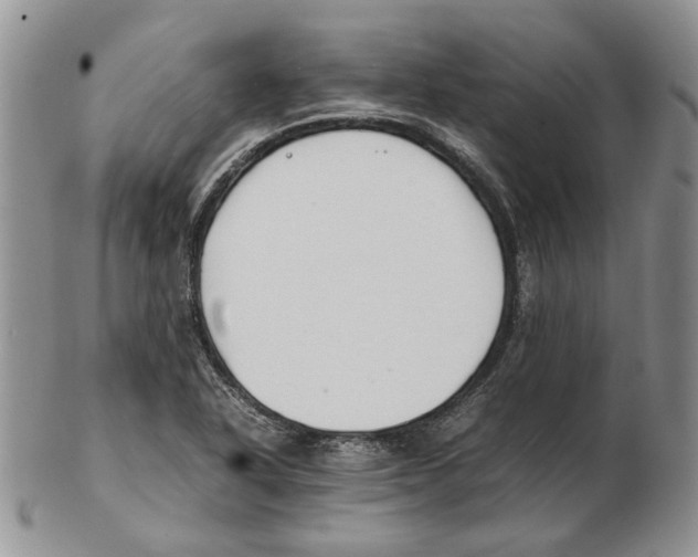 X0000102251318200808221344