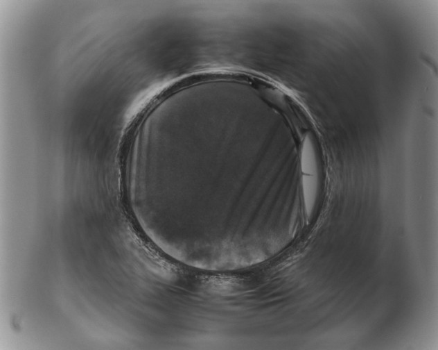 X0000102251319200808221344